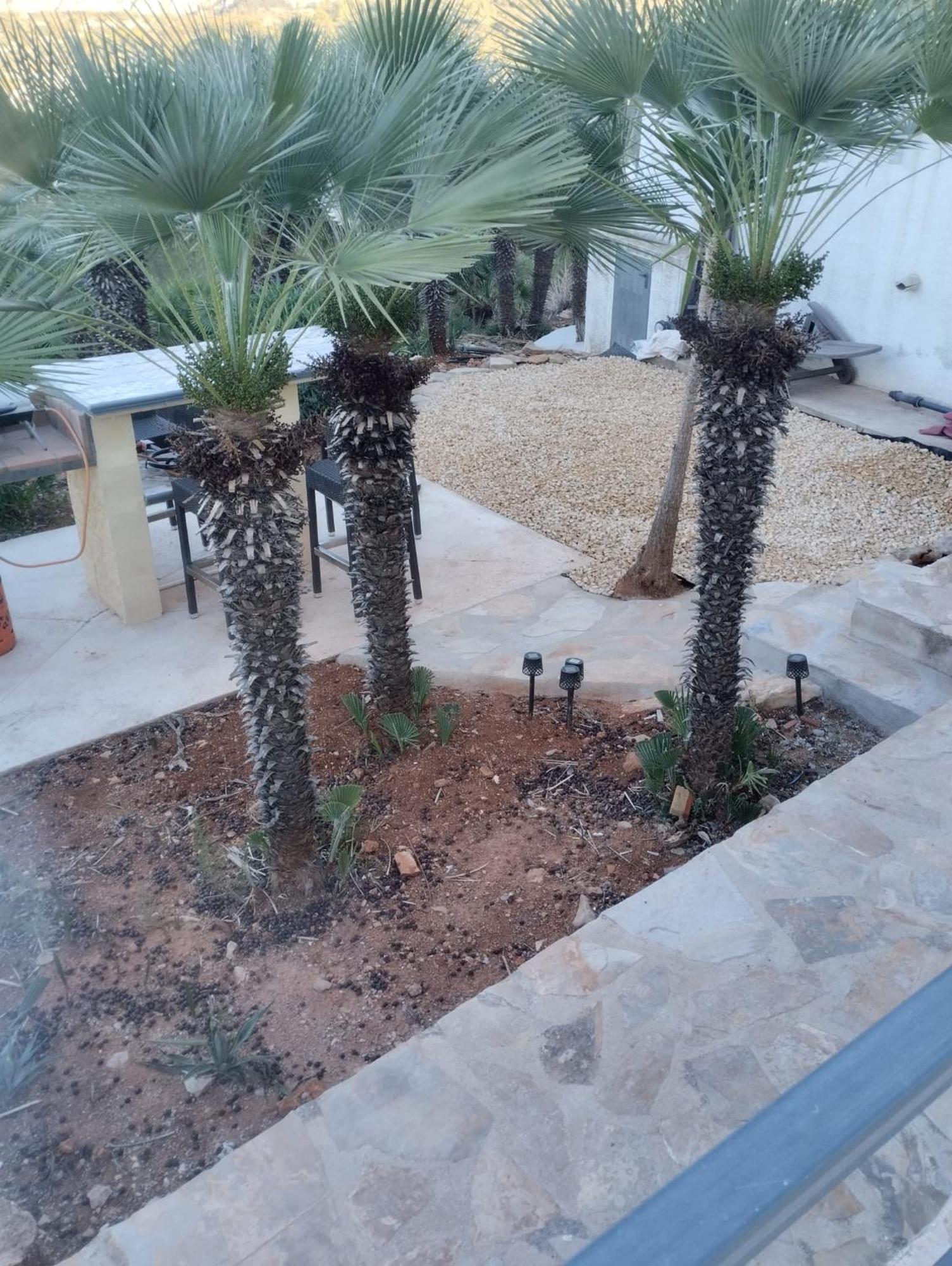 Luxe Appartement Met Tuin Benidoleig Екстериор снимка